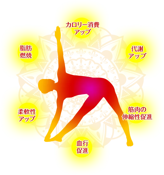 [ 画像 ] ホットヨガイメージ